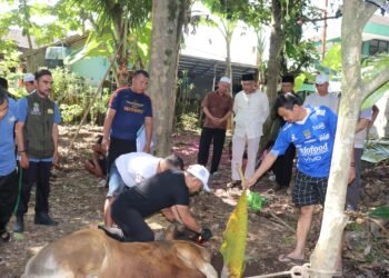 Kemenag Kabupaten Sukabumi Laksanakan Kurban Iduladha 1447 H Sesuai SE Menag Nomor 4 Tahun 2026