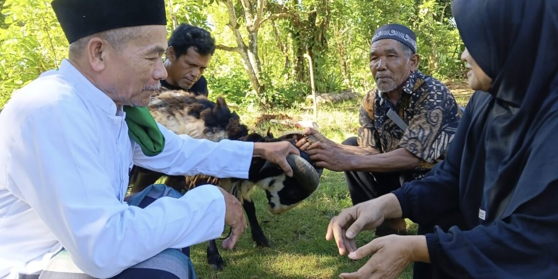 Penghulu dan Penyuluh KUA Ciracap Aktif Dampingi Pelaksanaan Qurban di Masyarakat