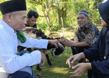 Penghulu dan Penyuluh KUA Ciracap Aktif Dampingi Pelaksanaan Qurban di Masyarakat