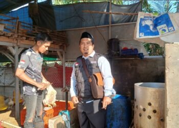 Penyuluh KUA Ciemas Dampingi Penyembelihan Halal di Rumah Potong Ayam SP Berkah Tongkol