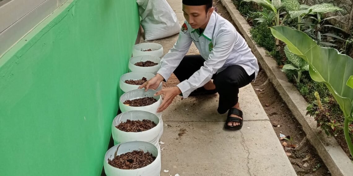 Penyuluh KUA Sukalarang Manfaatkan Galon Bekas untuk Budidaya Sayuran Hidroponik
