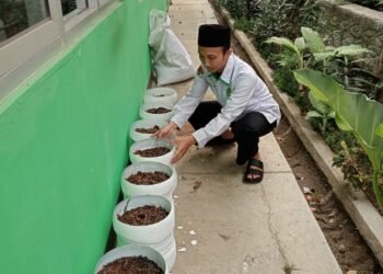 Penyuluh KUA Sukalarang Manfaatkan Galon Bekas untuk Budidaya Sayuran Hidroponik