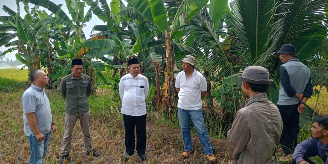 Penyelenggara Zakat Wakaf Kemenag Sukabumi Lakukan Visitasi Awal Tanah Pengganti Wakaf Terdampak PSN