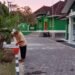Rawat Tanaman di Tengah Kemarau, PUO KUA Ciracap Perkuat Kepedulian Lingkungan