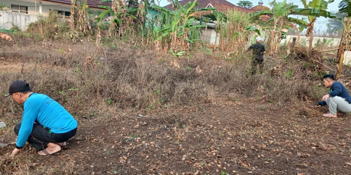 Dukung Ekoteologi, Penyuluh KUA Purabaya Bersihkan Halaman dan Siapkan Penanaman Pohon