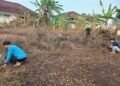 Dukung Ekoteologi, Penyuluh KUA Purabaya Bersihkan Halaman dan Siapkan Penanaman Pohon