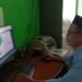 Operator KUA Cibitung Validasi Data Catin melalui SIMKAH 4.0