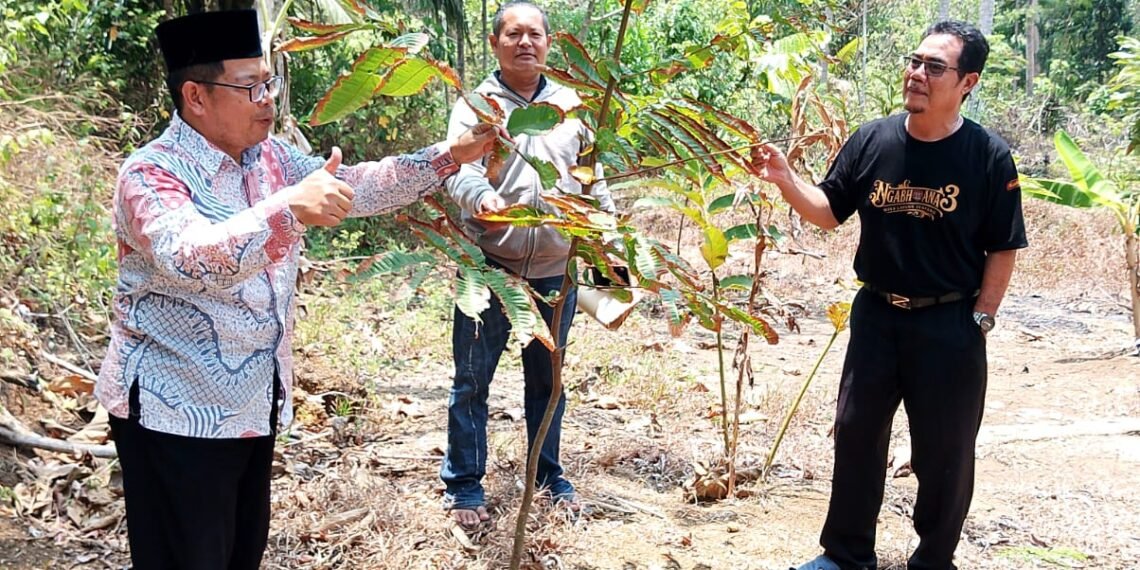KUA Surade Tanamkan Kepedulian Lingkungan melalui Gerakan Penanaman Pohon