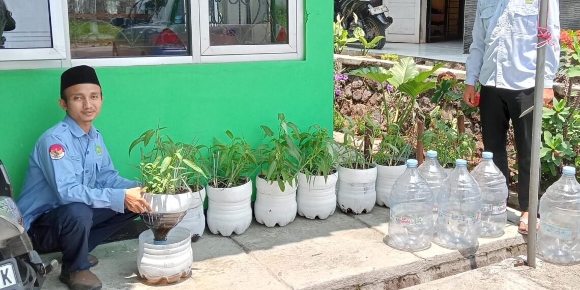 Panen Perdana Kangkung Organik, KUA Sukalarang Wujudkan Gerakan Hijau Berbasis Ekoteologi