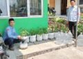 Panen Perdana Kangkung Organik, KUA Sukalarang Wujudkan Gerakan Hijau Berbasis Ekoteologi