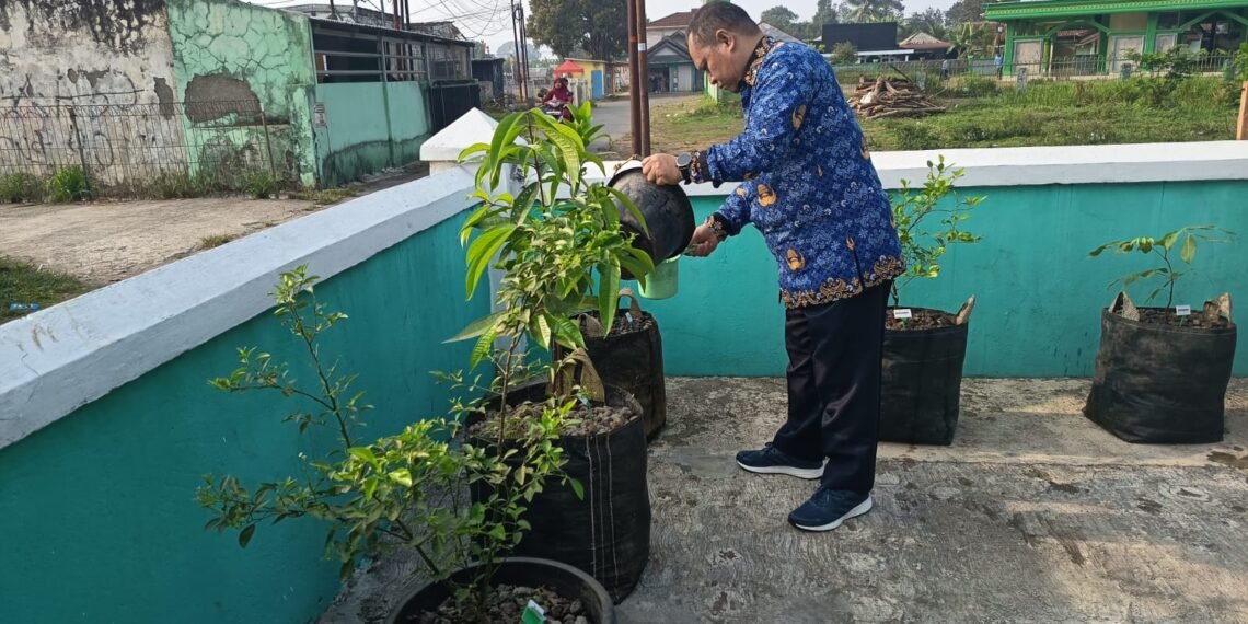 KUA Nagrak Jalankan Program SAWAHON melalui Perawatan Tanaman
