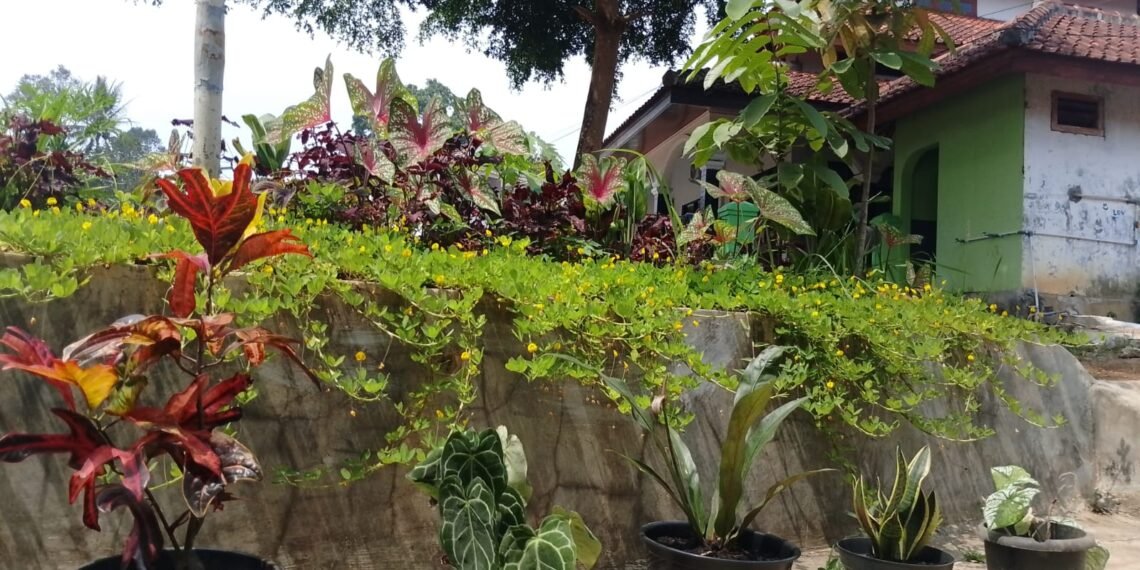 Program SAWAHON, KUA Bojonggenteng Tanamkan Kepedulian Lingkungan Berbasis Ekoteologi