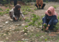 KUA Cibadak Gelar Jumat Bersih, Perkuat Kepedulian terhadap Lingkungan Kerja